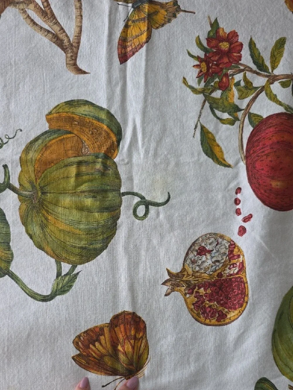 Williams-Sonoma All Season Fruit Botanical